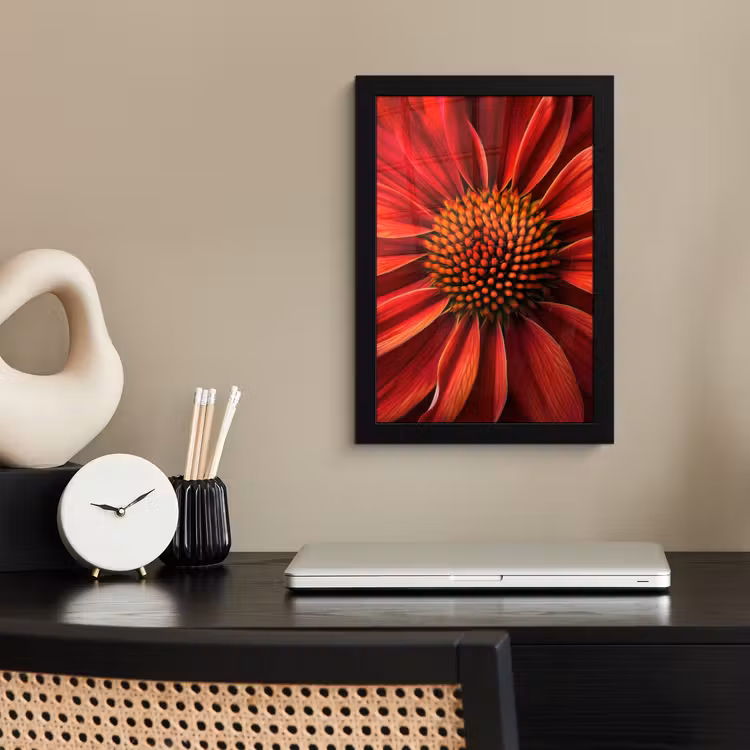 Poster met lijst - Close up - Bloem- Rood — 3
