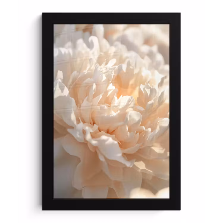 Poster met lijst - Close up - Pioenroos - Lichtroze — 1