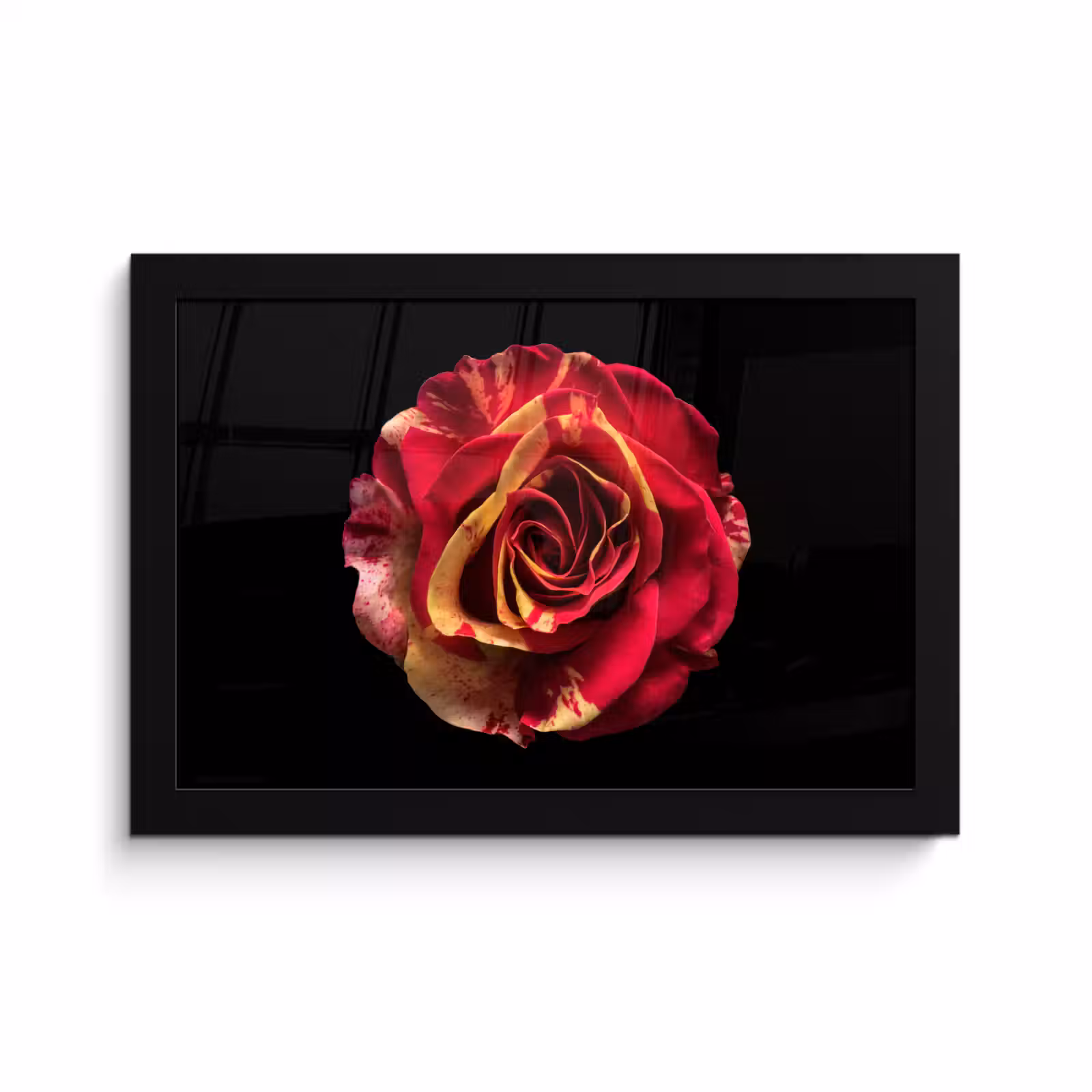 Poster met lijst - Bloem - Roos - Rood - Zwart — 1