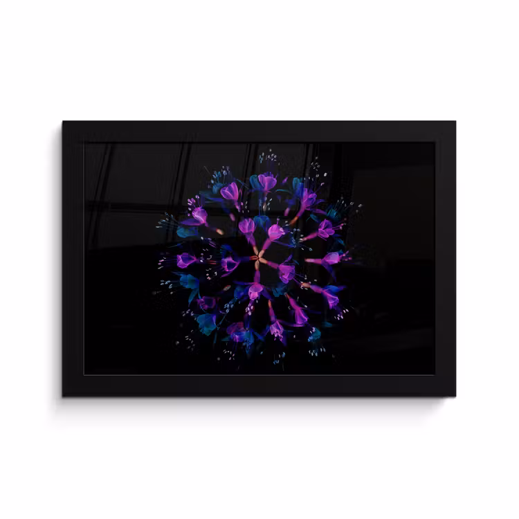 Poster met lijst - Bloem - Paars - Blauw - Macro - Zwart — 1