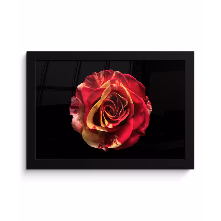 Poster met lijst - Bloem - Roos - Rood - Zwart — 1