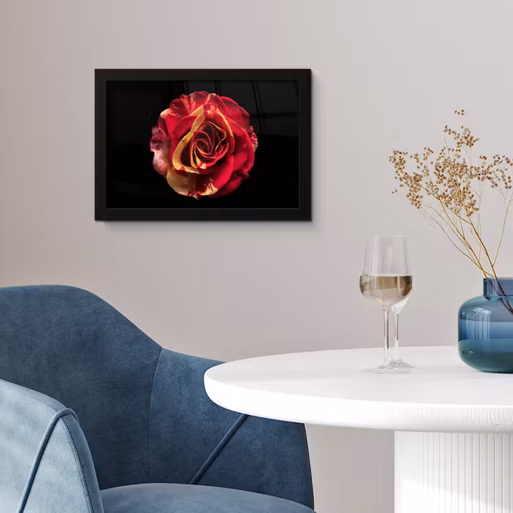 Poster met lijst - Bloem - Roos - Rood - Zwart — 2
