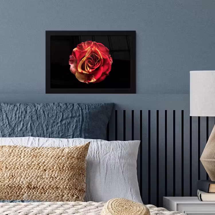 Poster met lijst - Bloem - Roos - Rood - Zwart — 4