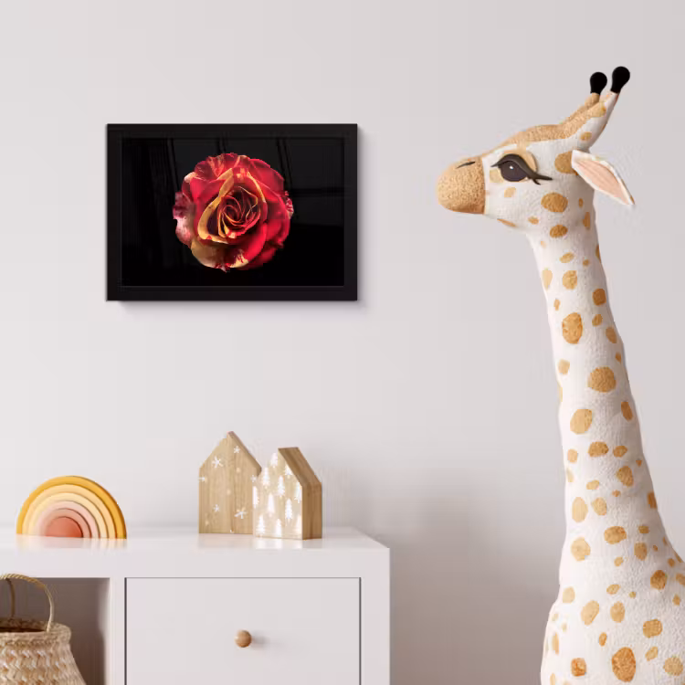 Poster met lijst - Bloem - Roos - Rood - Zwart — 5