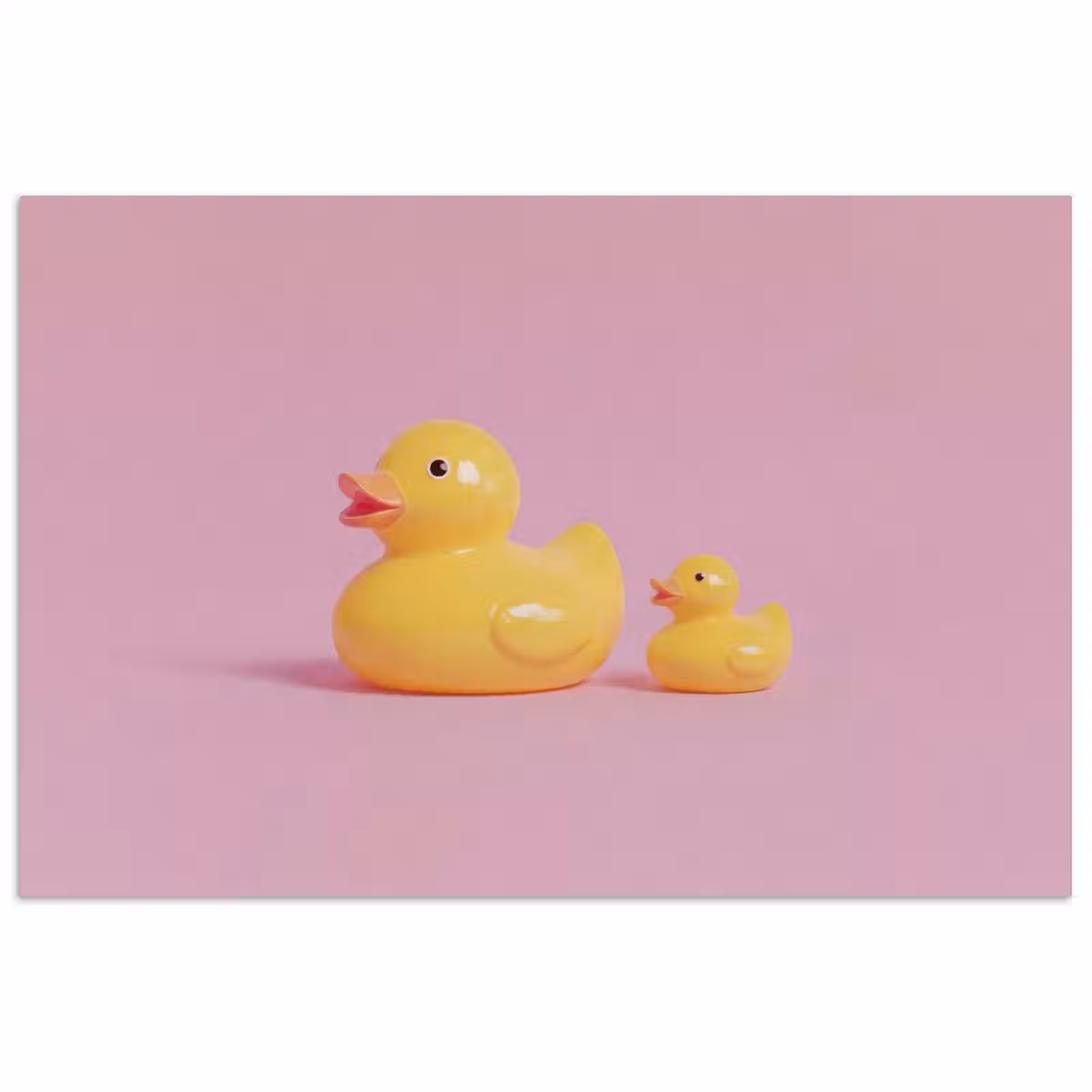 Poster - Eendjes - Vrolijk - Roze — 1