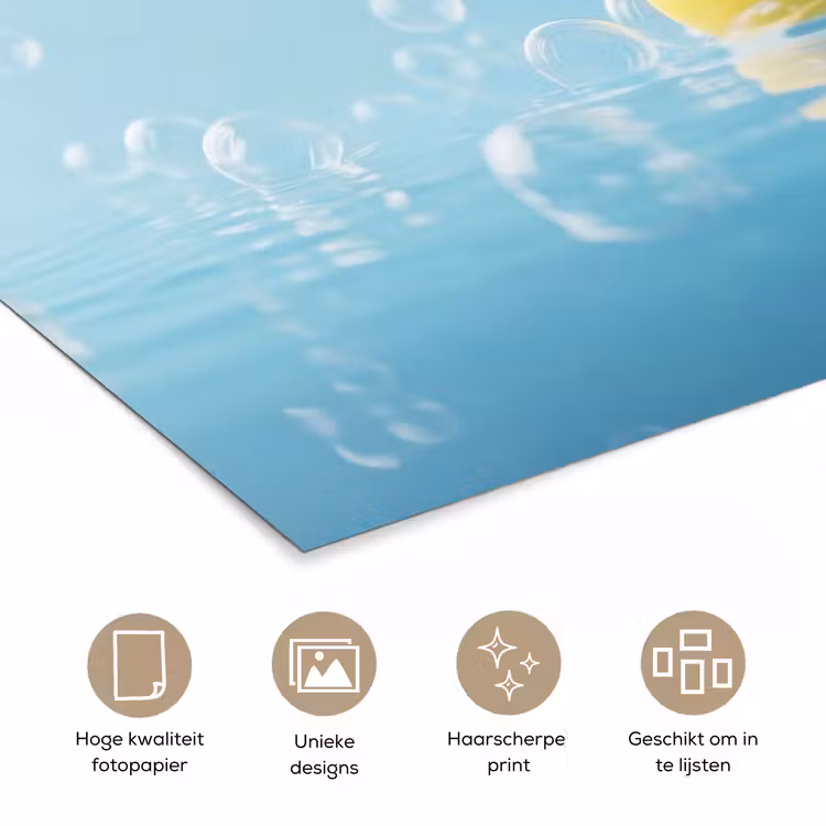 Poster - Bubbels - Badeend - Geel — 5