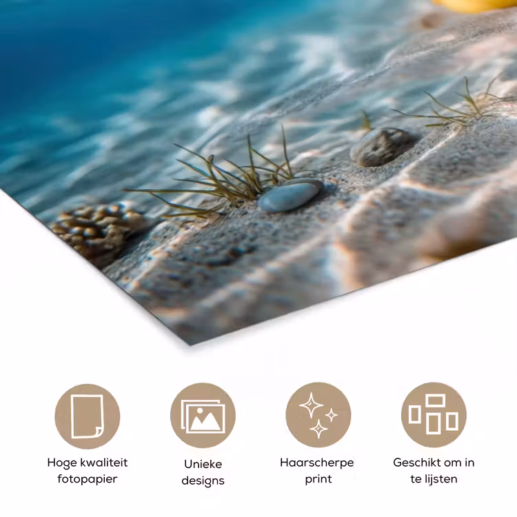 Poster - Duikbril - Eend - Water — 5