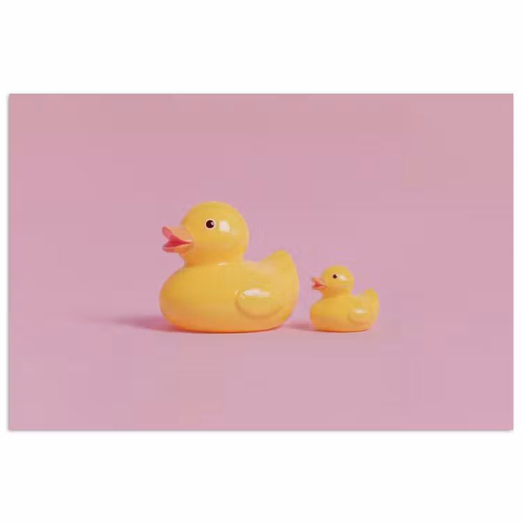 Poster - Eendjes - Vrolijk - Roze — 1