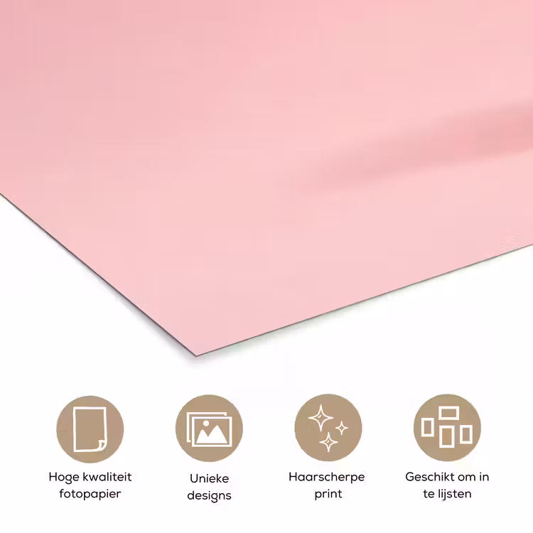 Poster - Matroos - Eend - Roze — 5