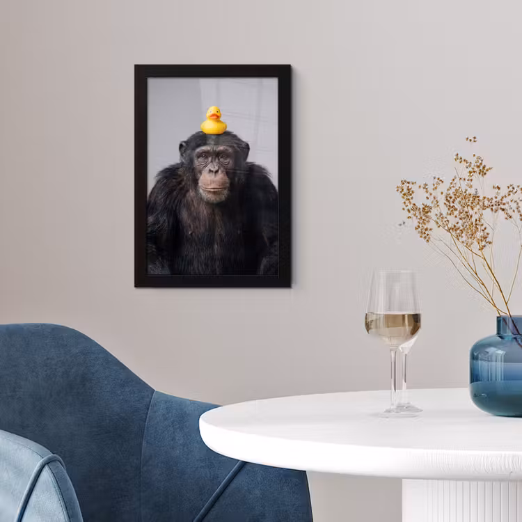 Poster met lijst - Chimpansee - Badeend - Grijs — 2