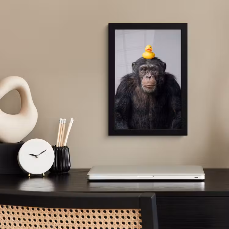 Poster met lijst - Chimpansee - Badeend - Grijs — 3