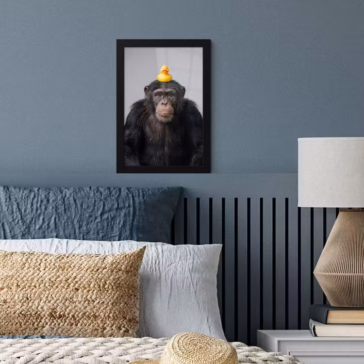 Poster met lijst - Chimpansee - Badeend - Grijs — 4