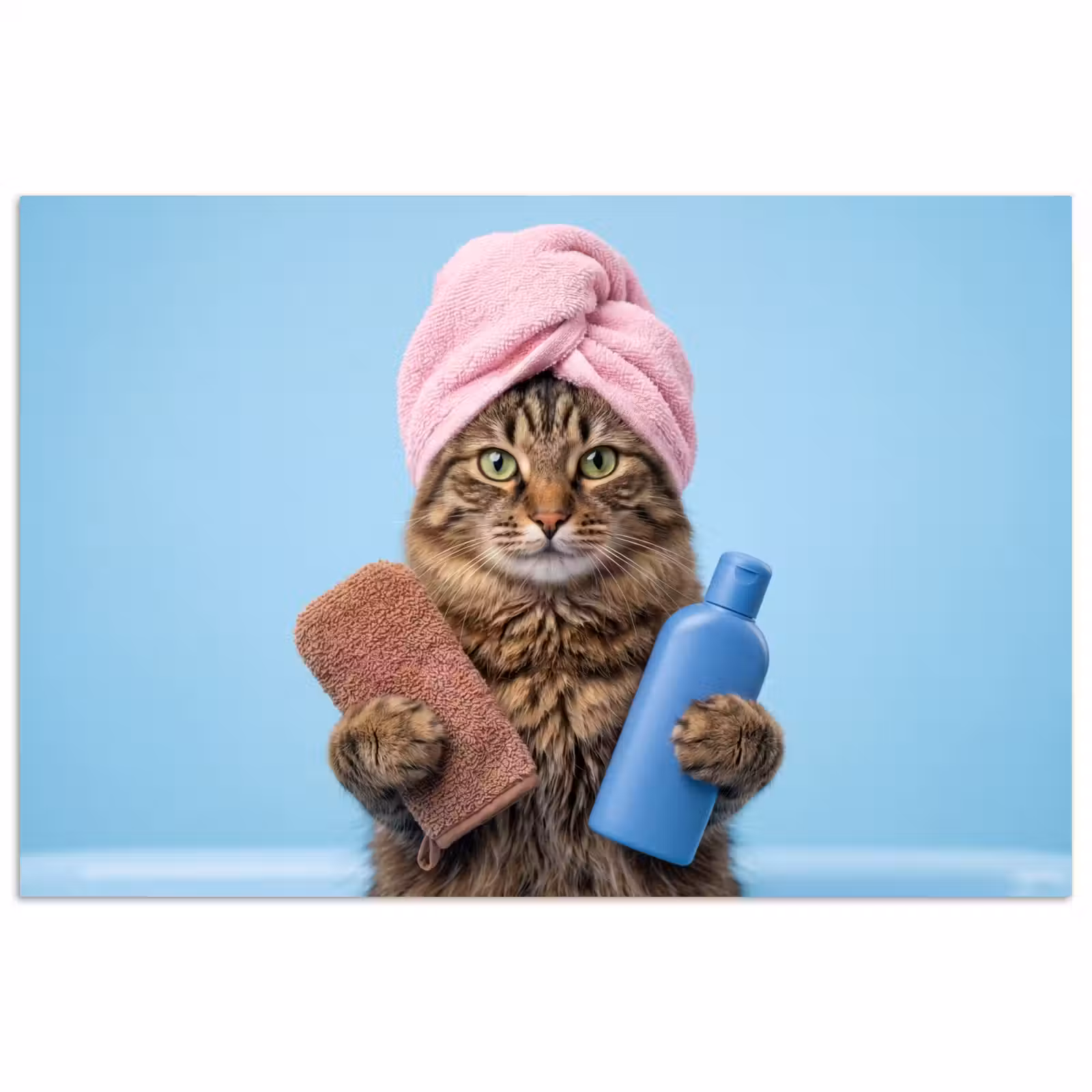 Poster - Kat - Handdoek - Washand - Zeep — 1