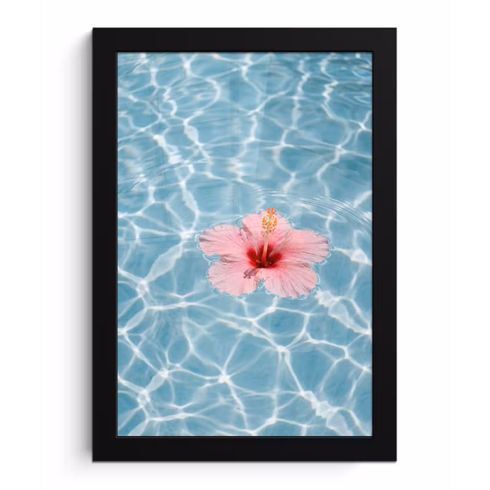 Poster met lijst - Hibiscus - Water - Roze — 1