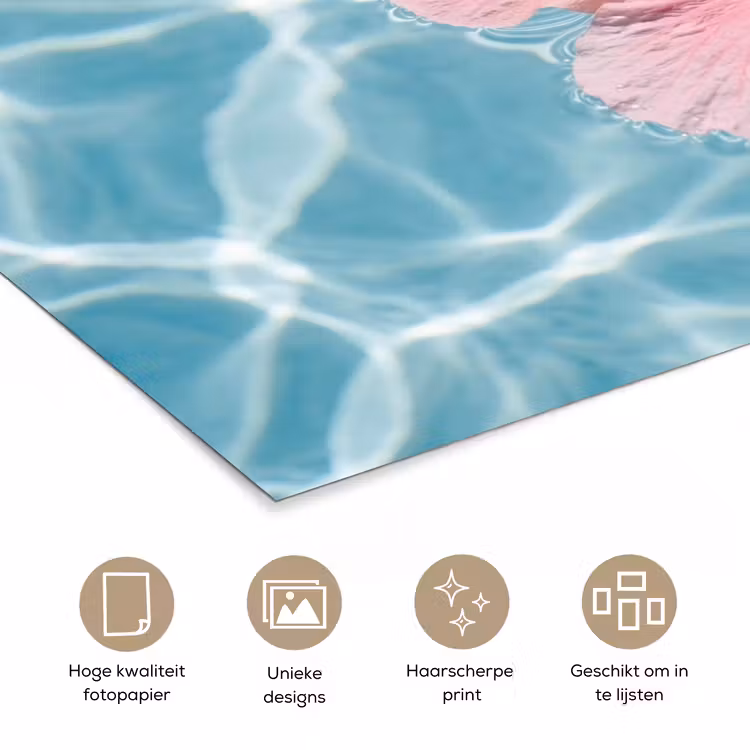 Poster - Hibiscus - Water - Roze — 5
