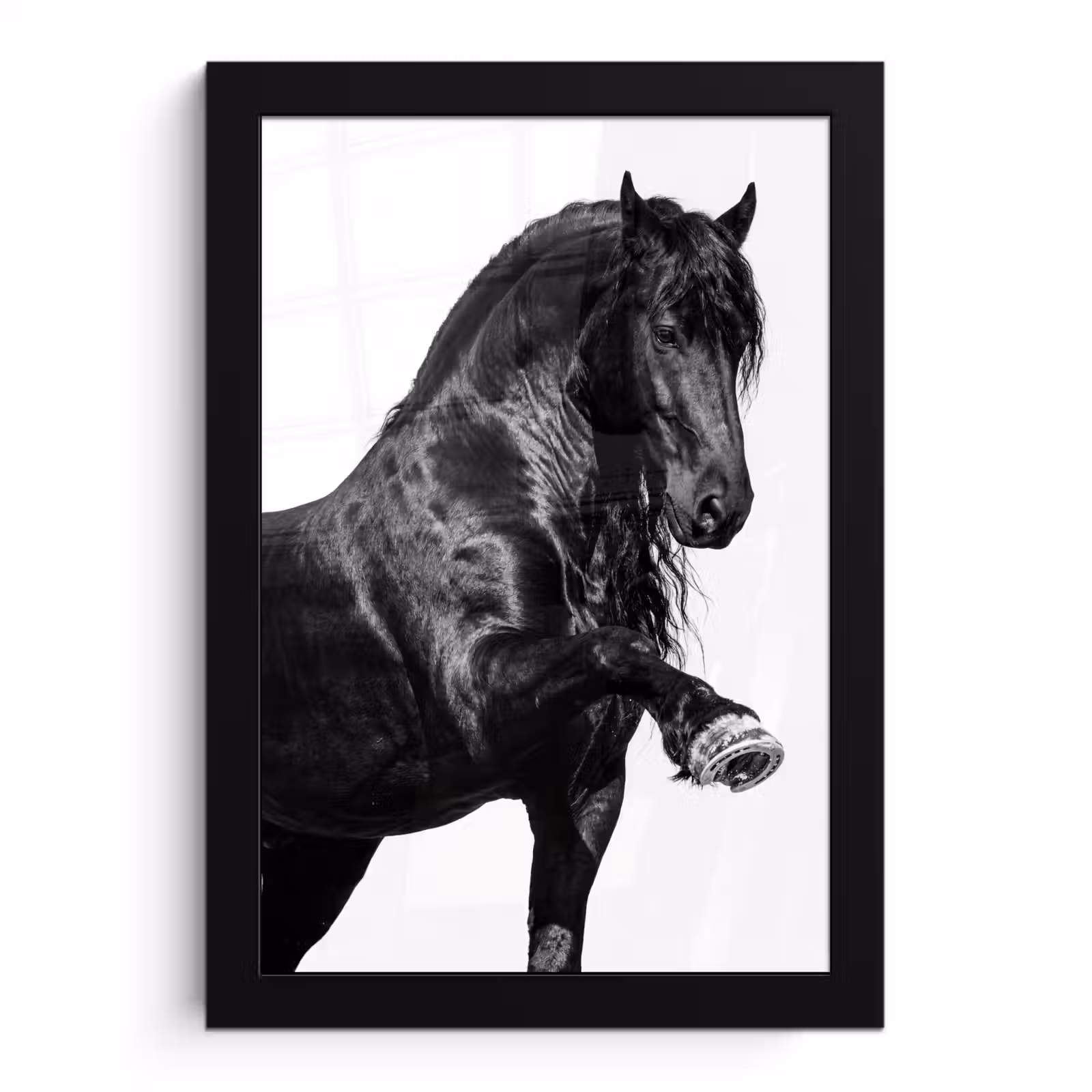 Poster met lijst - Fries - Hengst - Modern — 1