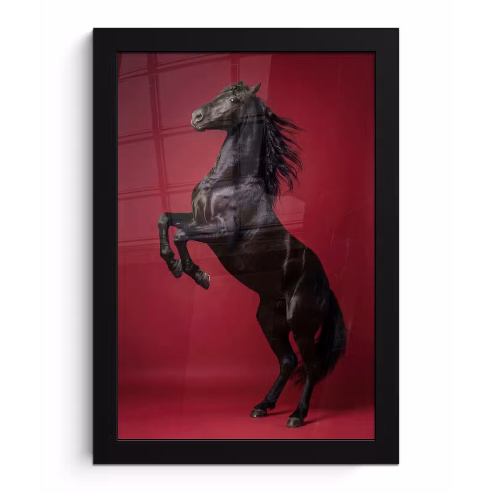 Poster met lijst - Hengst - Steigert - Rood — 1