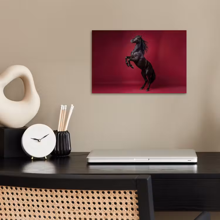 Poster - Hengst - Steigert - Rood — 2