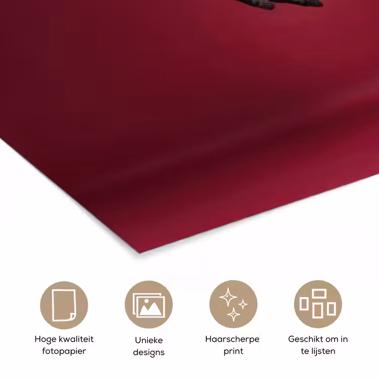 Poster - Hengst - Steigert - Rood — 5