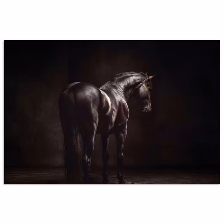 Poster - Krachtig - Paard - Donker — 1