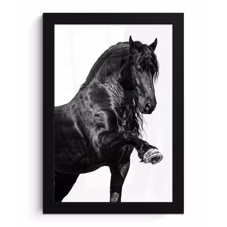 Poster met lijst - Fries - Hengst - Modern — 1