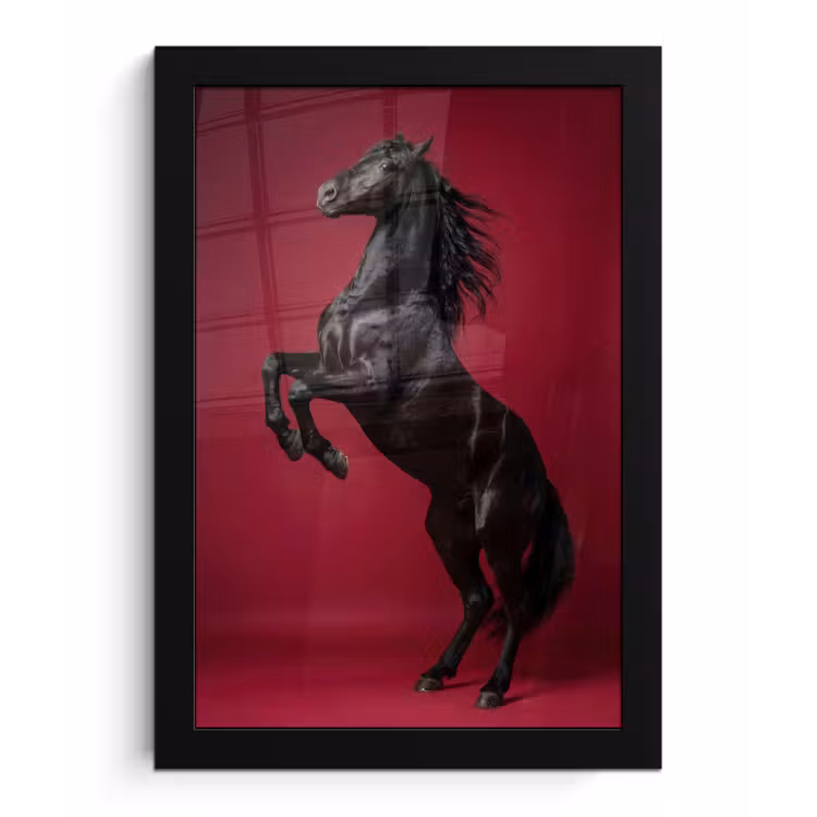 Poster met lijst - Hengst - Steigert - Rood — 1