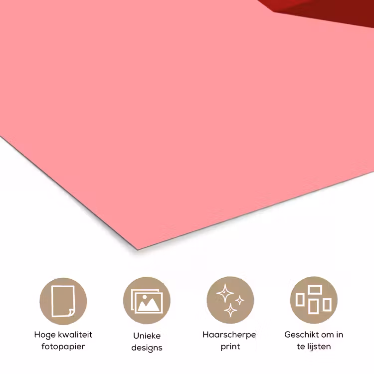 Poster - Dream - 3D - Rood - Roze — 5