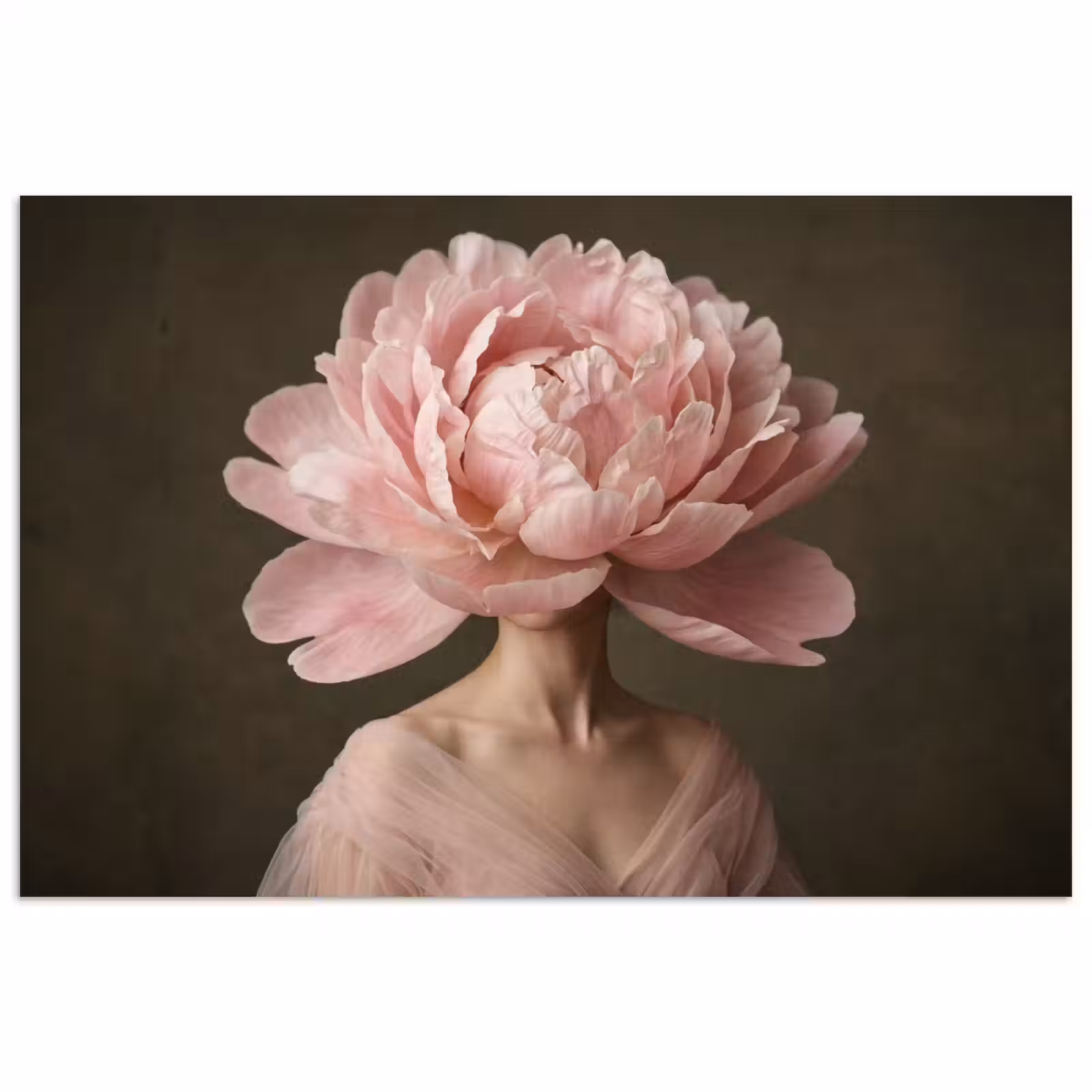 Poster - Gezicht - Roos - Roze — 1