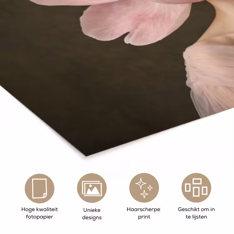 Poster - Gezicht - Roos - Roze — 5