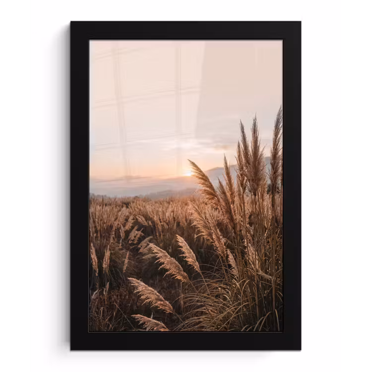 Poster met lijst - Gras - Veld - Zon - Natuur — 1