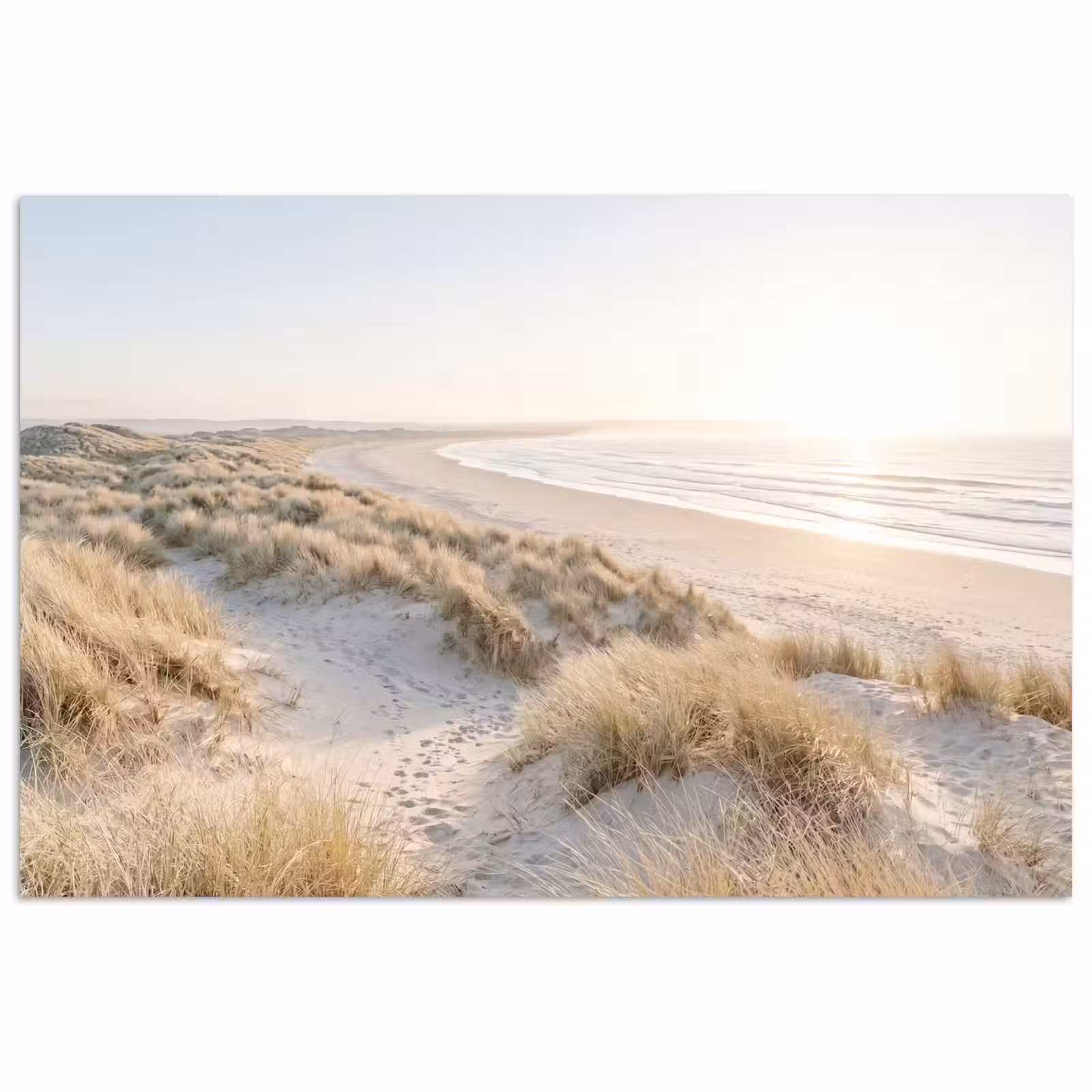 Poster - Duinen - Strand - Beige — 1