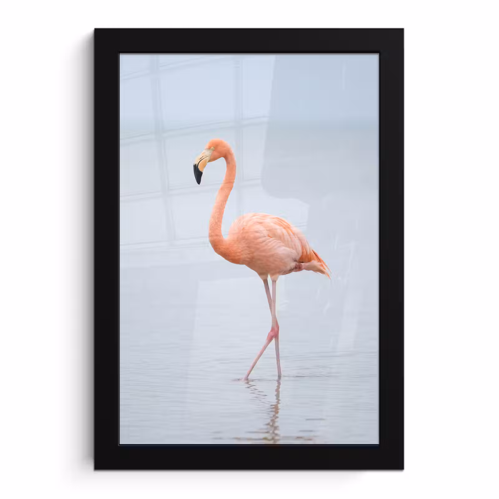 Poster met lijst - Flamingo - Zee - Roze — 1