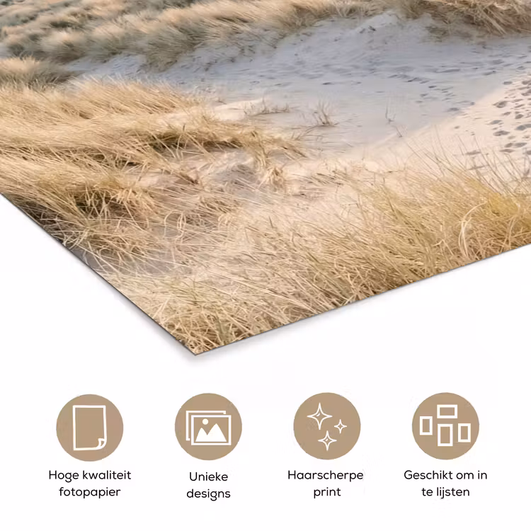 Poster - Duinen - Strand - Beige — 5