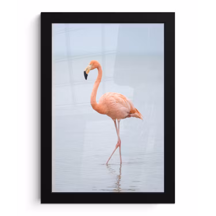 Poster met lijst - Flamingo - Zee - Roze — 1
