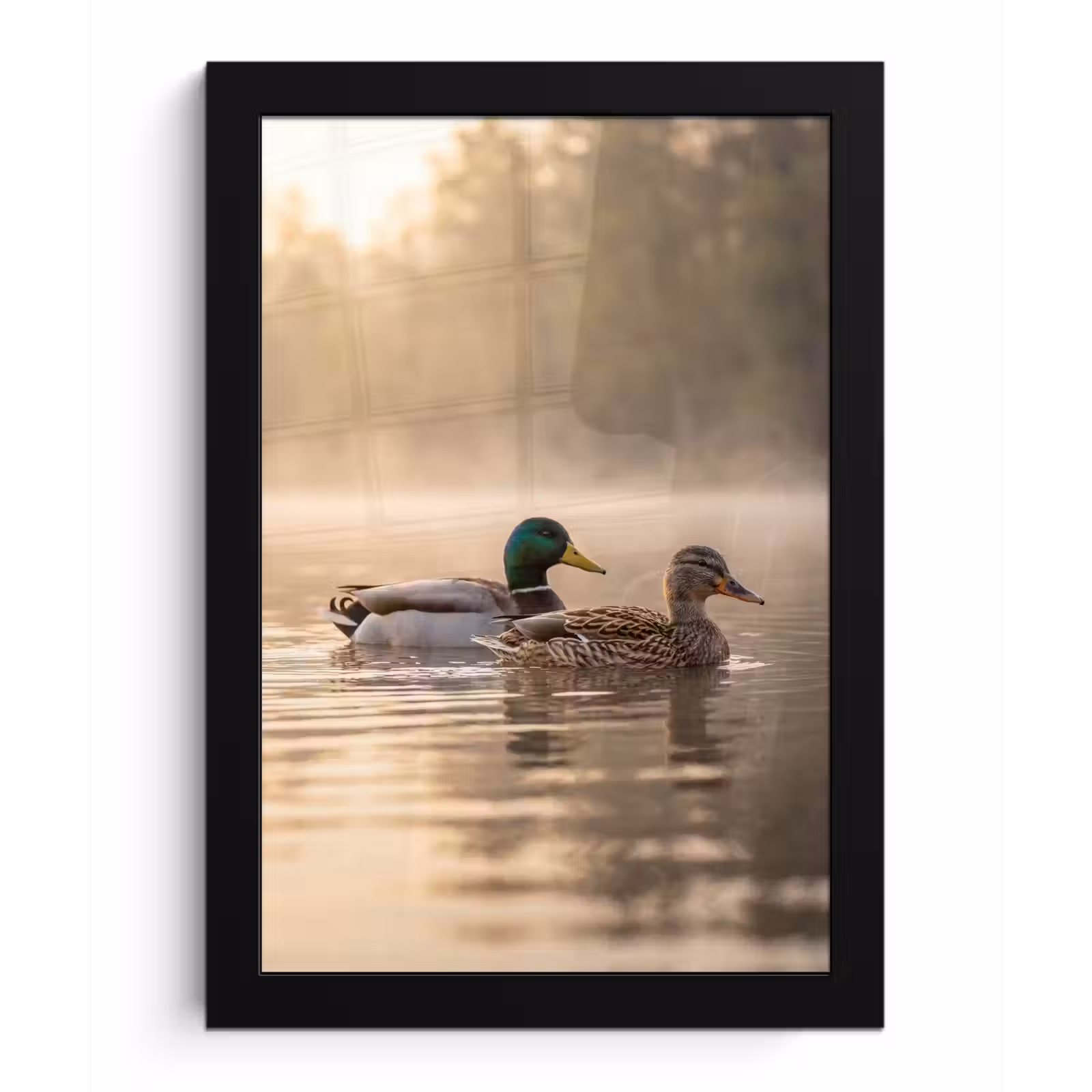 Poster met lijst - Eenden - Water - Mist - Natuur — 1