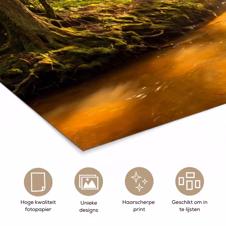 Poster - Bos - Beek - Zonlicht - Natuur - Groen — 5