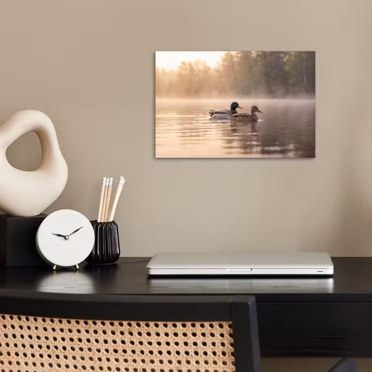 Poster - Eenden - Water - Mist - Natuur — 2