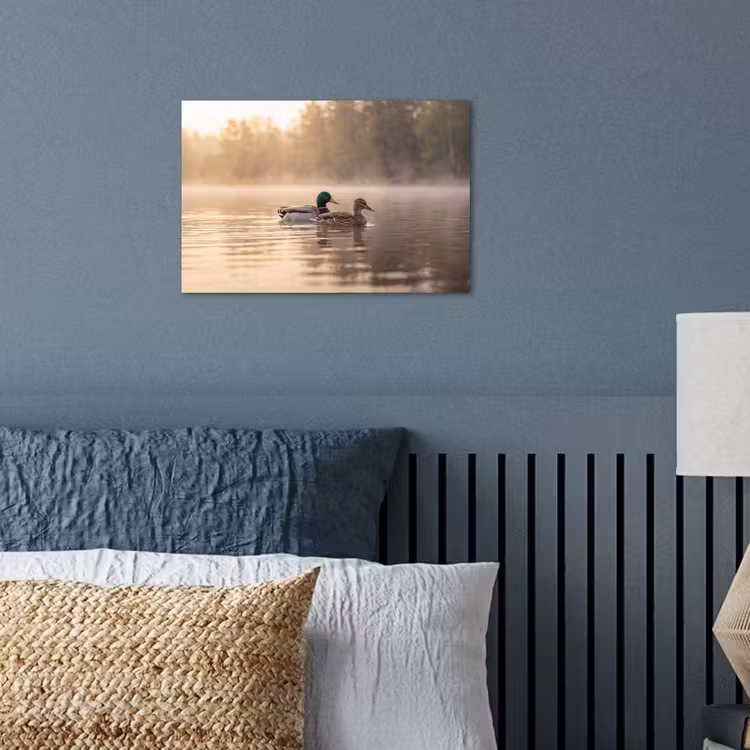 Poster - Eenden - Water - Mist - Natuur — 3