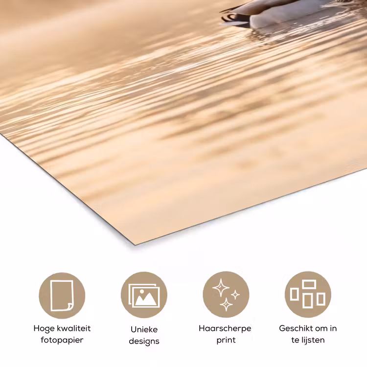 Poster - Eenden - Water - Mist - Natuur — 5