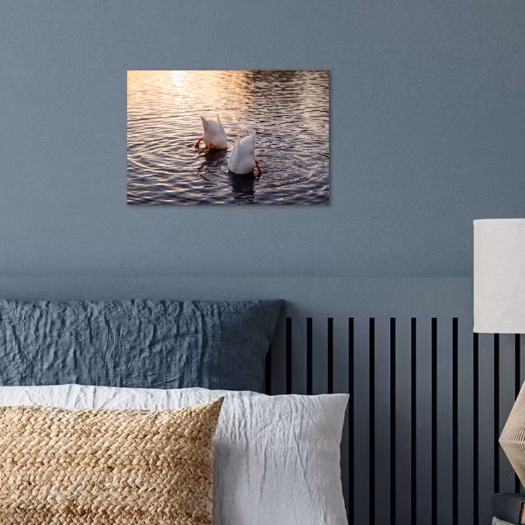 Poster - Eenden - Water - Natuur — 3