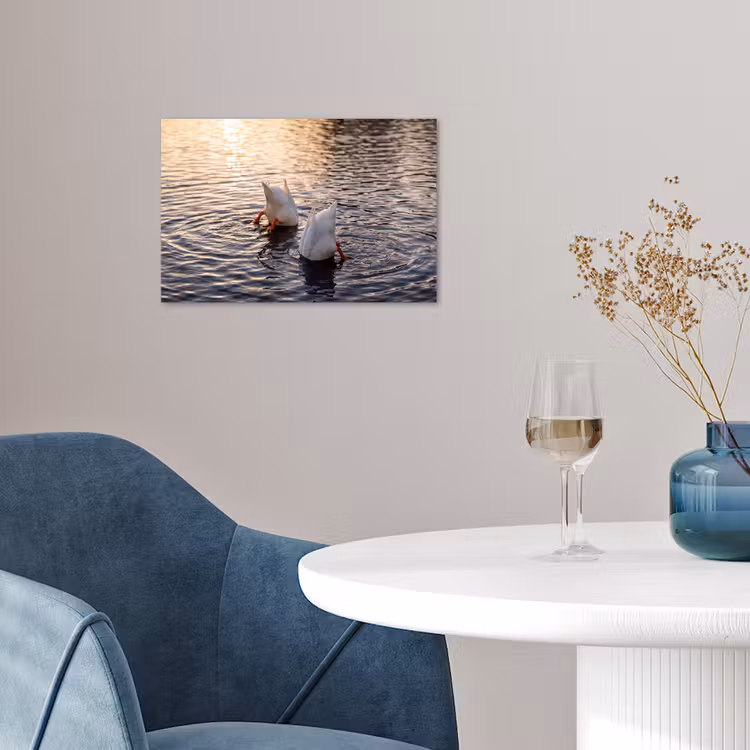 Poster - Eenden - Water - Natuur — 4
