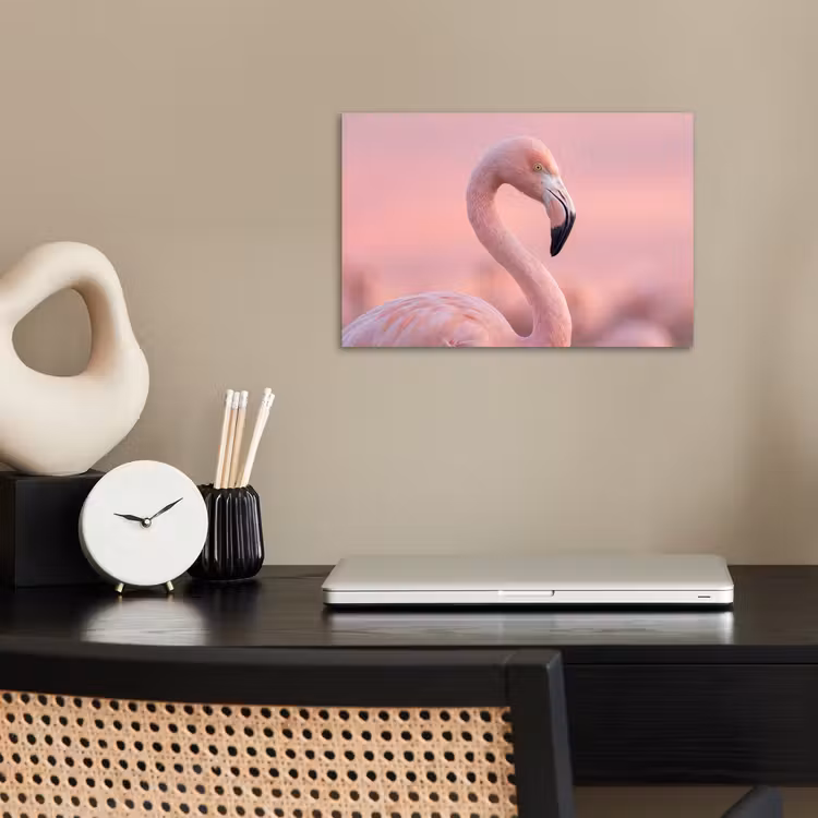 Poster - Flamingo - Portret - Roze — 2