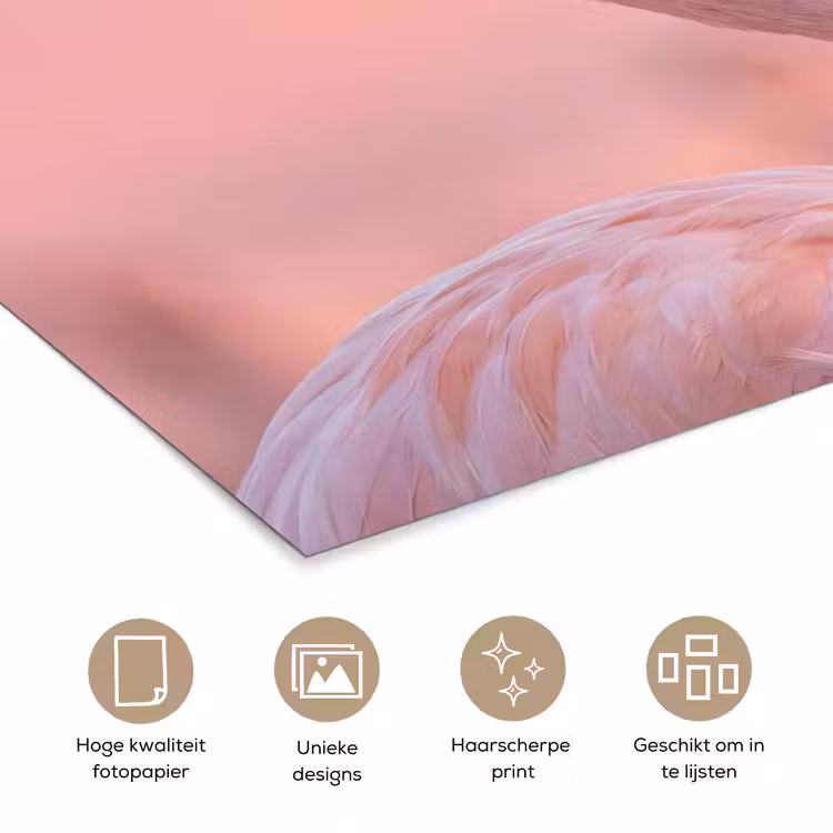 Poster - Flamingo - Portret - Roze — 5