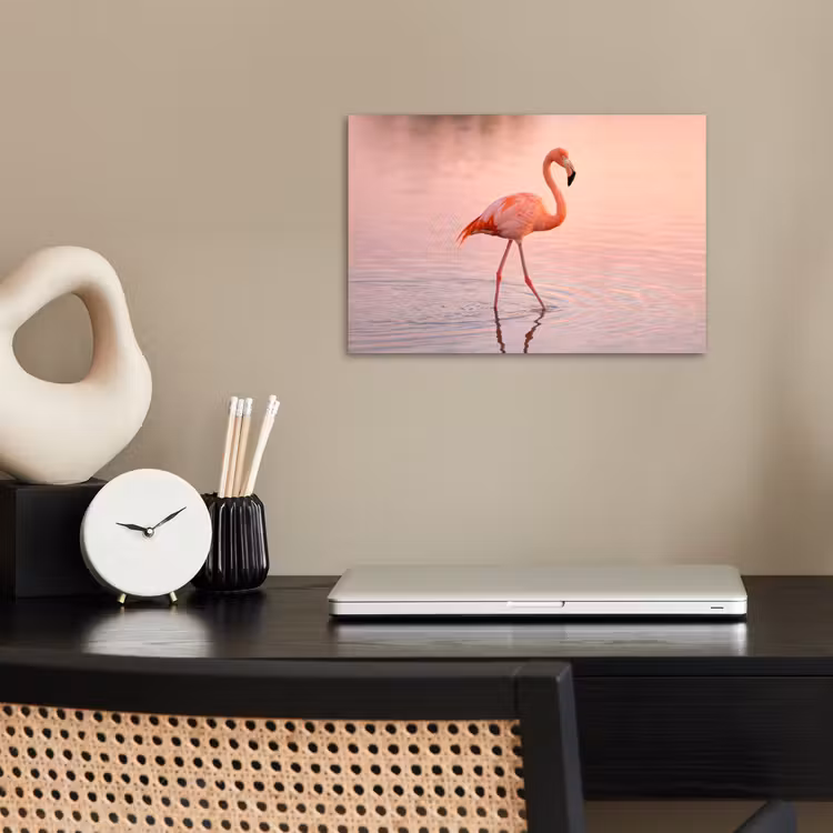 Poster - Flamingo - Water - Roze — 2