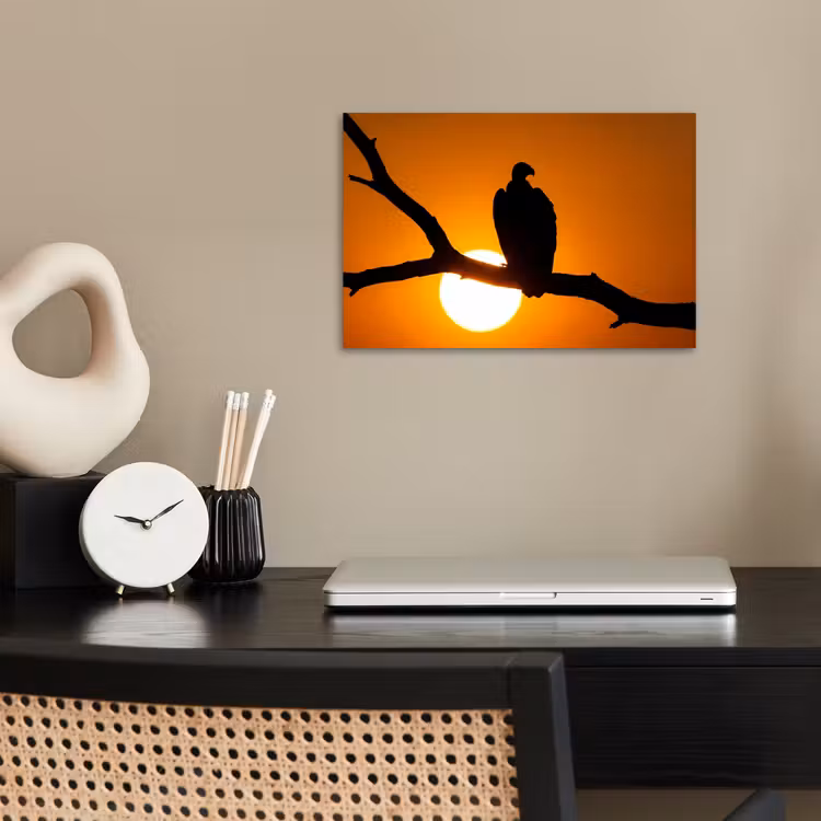 Poster - Gier - Tak - Zon - Oranje — 2