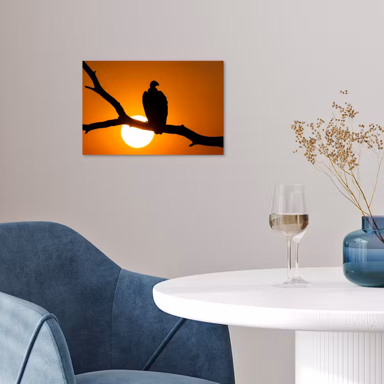 Poster - Gier - Tak - Zon - Oranje — 4