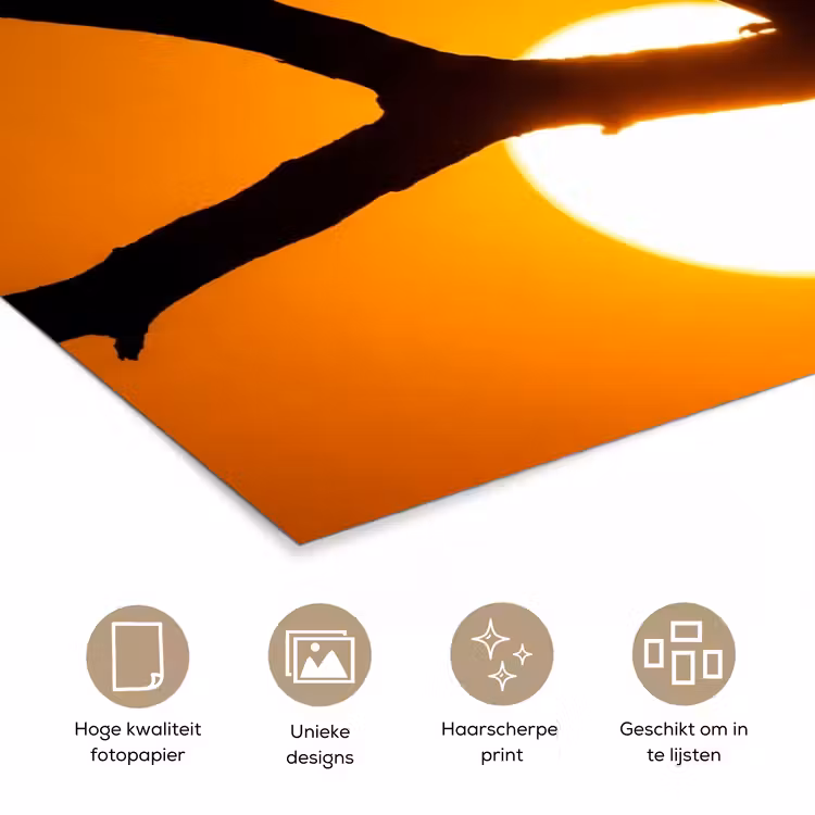 Poster - Gier - Tak - Zon - Oranje — 5