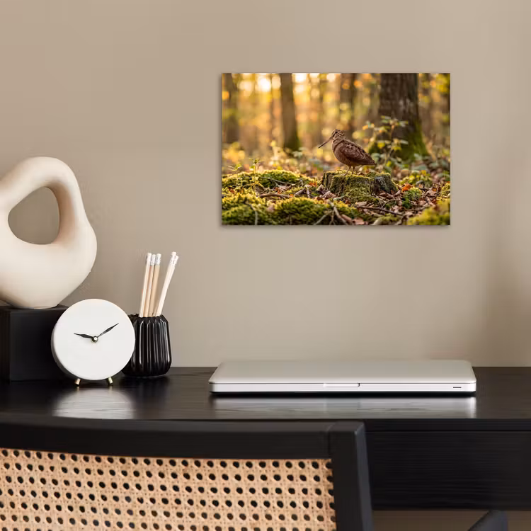Poster - Houtsnip - Bos - Bladeren - Herfst - Gecamoufleerd — 2