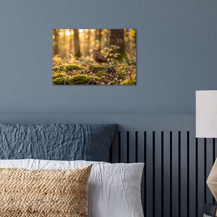 Poster - Houtsnip - Bos - Bladeren - Herfst - Gecamoufleerd — 3