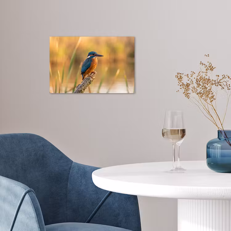 Poster - IJsvogel - Tak - Water - Kleurrijk - Levendig — 4